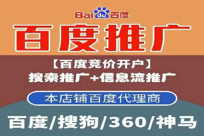 初探SEM推广代运营的多种成功模式
